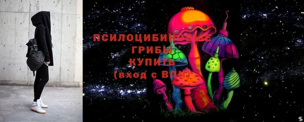 метадон Белокуриха