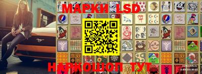 крисы Аргун