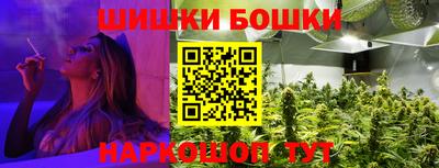 крисы Аргун