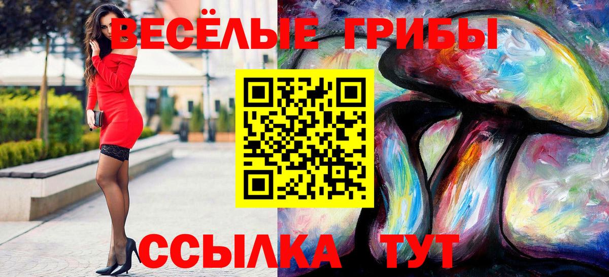 Псилоцибиновые грибы GOLDEN TEACHER  Вход с VPN  Псилоцибиновые грибы мухоморы  купить наркоту  Гатчина 