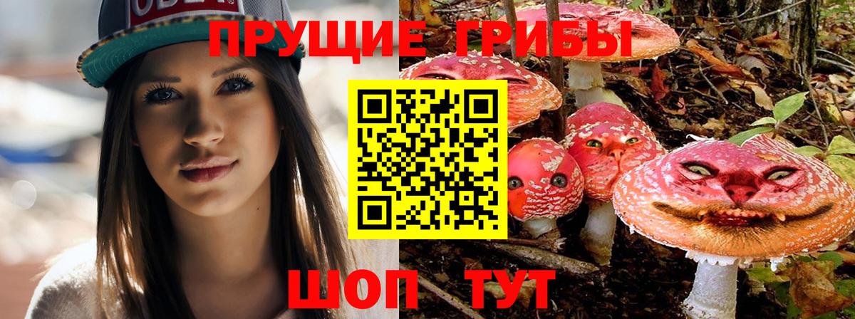 Псилоцибиновые грибы Magic Shrooms  Гатчина  Псилоцибиновые грибы ЛСД 