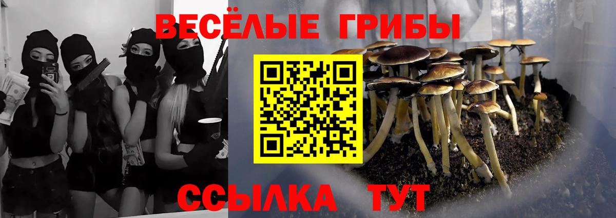 Галлюциногенные грибы GOLDEN TEACHER Гатчина