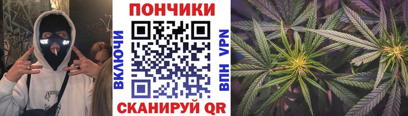 что такое наркотик  мега как войти  Бошки Шишки Amnesia  Гатчина 